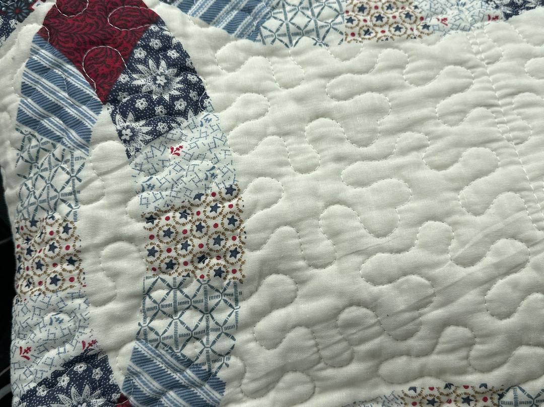 Lidl Dollys Factory Store-皮金福奇必去景点