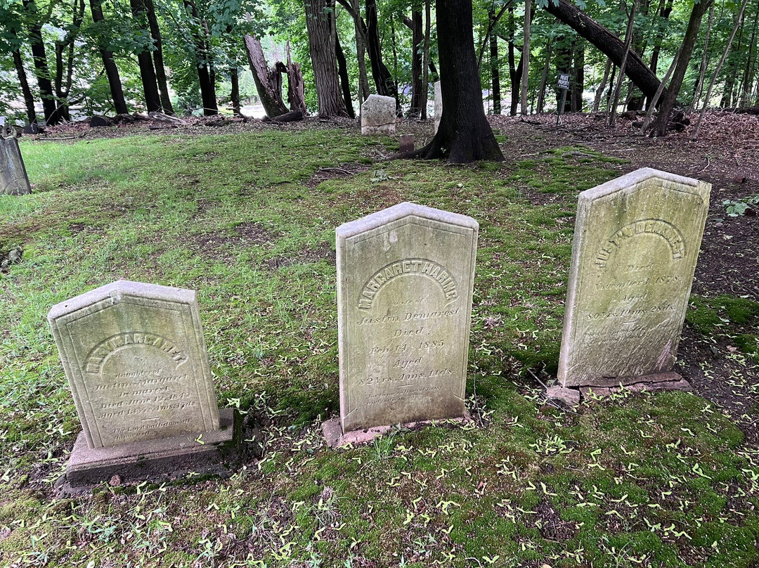 Old Burying Ground景点图片