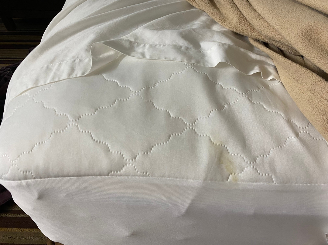 Super 8 by Wyndham Springdale AR主图