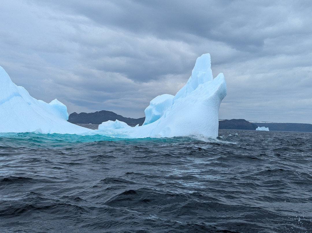 Iceberg Alley Boat Tours-St. Anthony必去景点