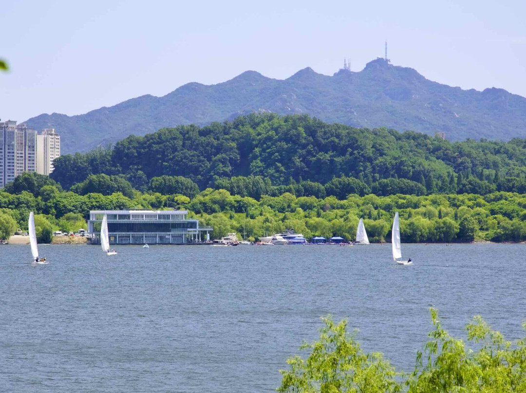 汝矣岛公园景点图片