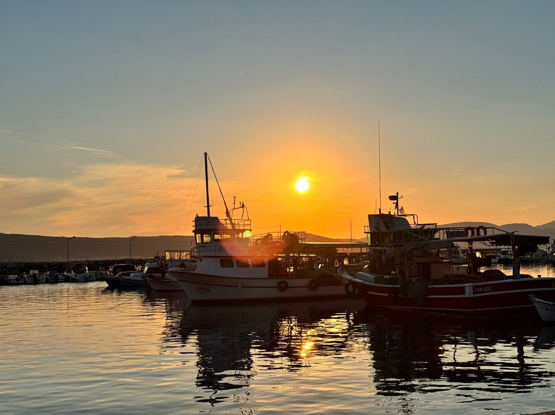 Özbek Marina