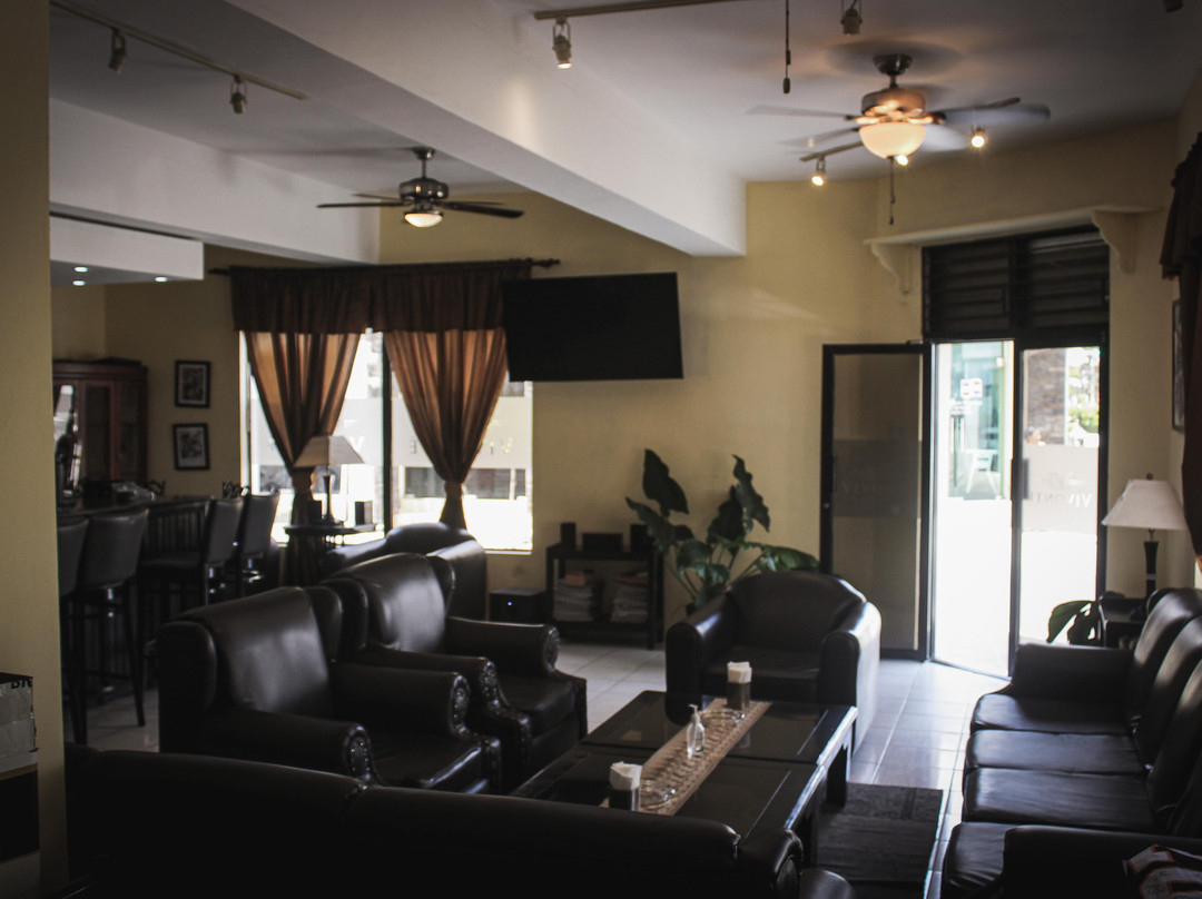 Vivonte Cigars-普拉塔港必去景点