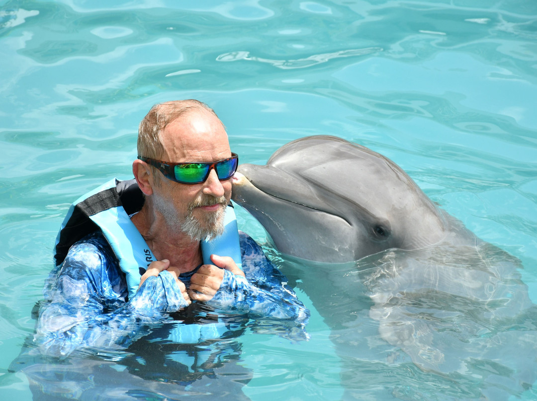 Dolphinaris Riviera Maya Park景点图片