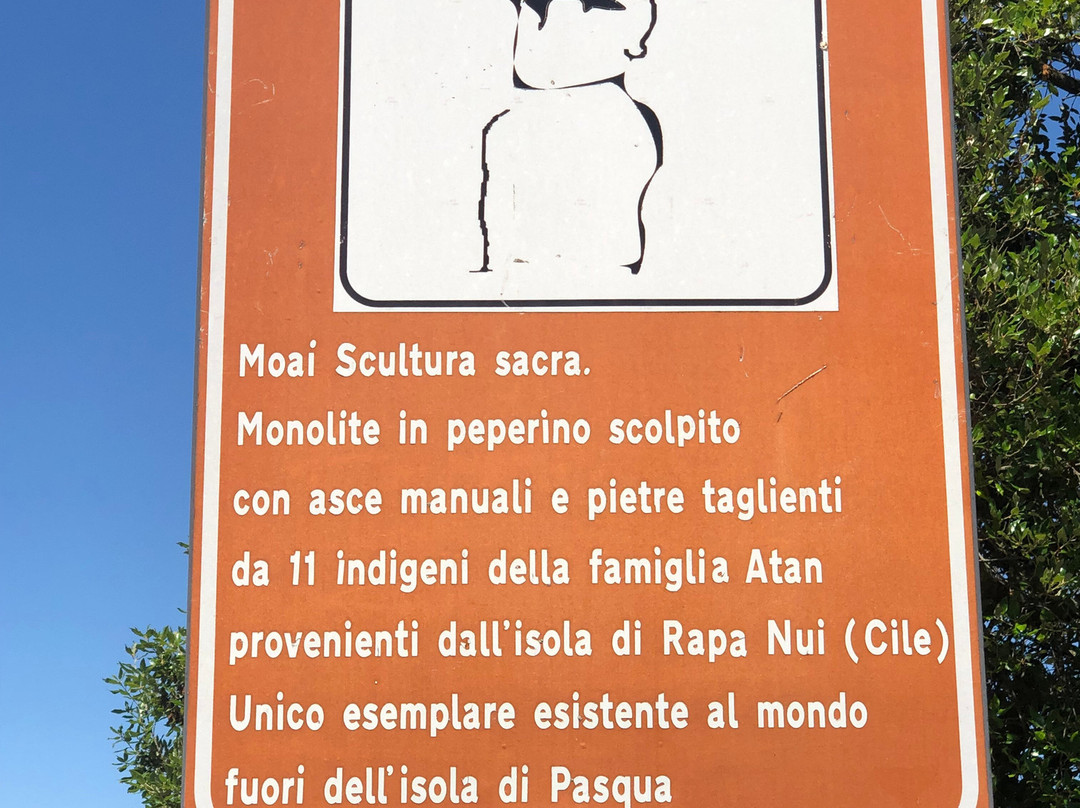 Statua Moai景点图片