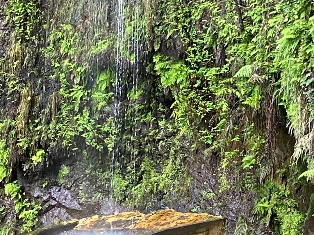 Levada Ribeira de Janela-莫尼什港必去景点