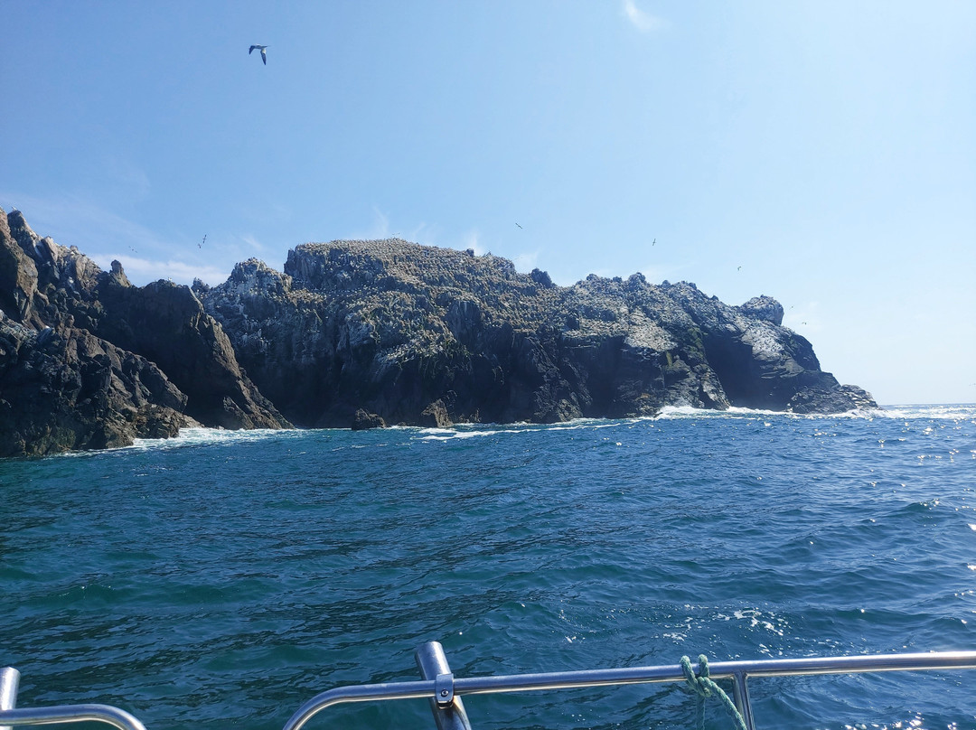 Avante Boat Trips-Alderney必去景点