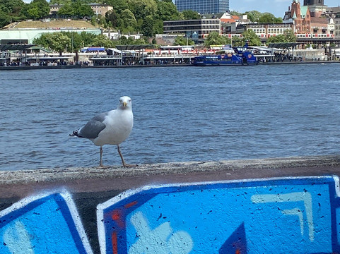 Oldie Tour Hamburg-汉堡必去景点