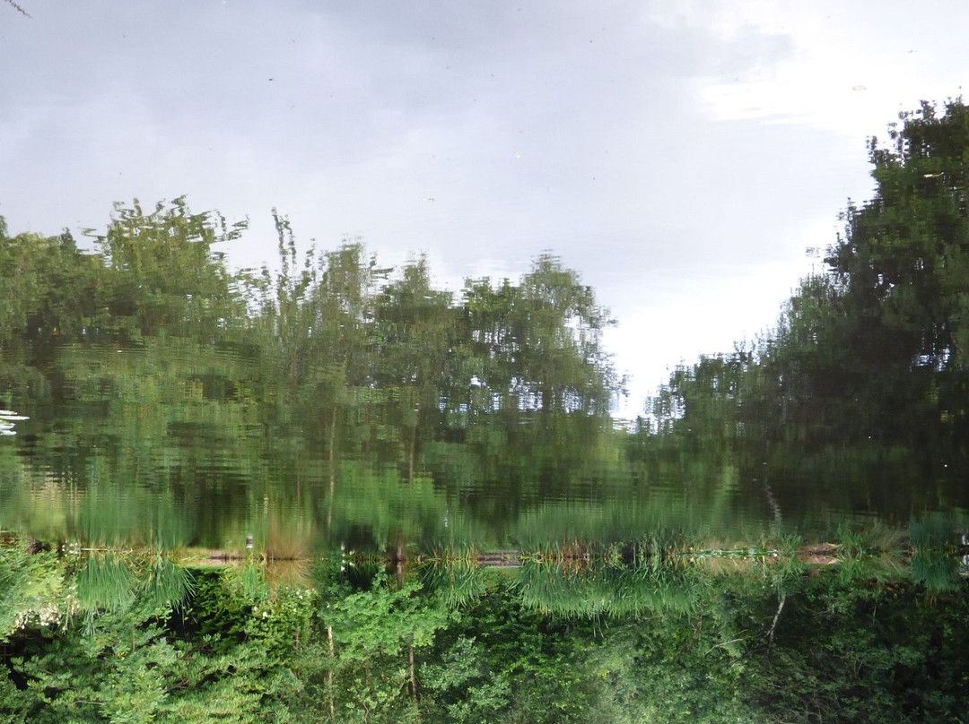 Iddesleigh旅游景点-Legge Farm Coarse Fishery