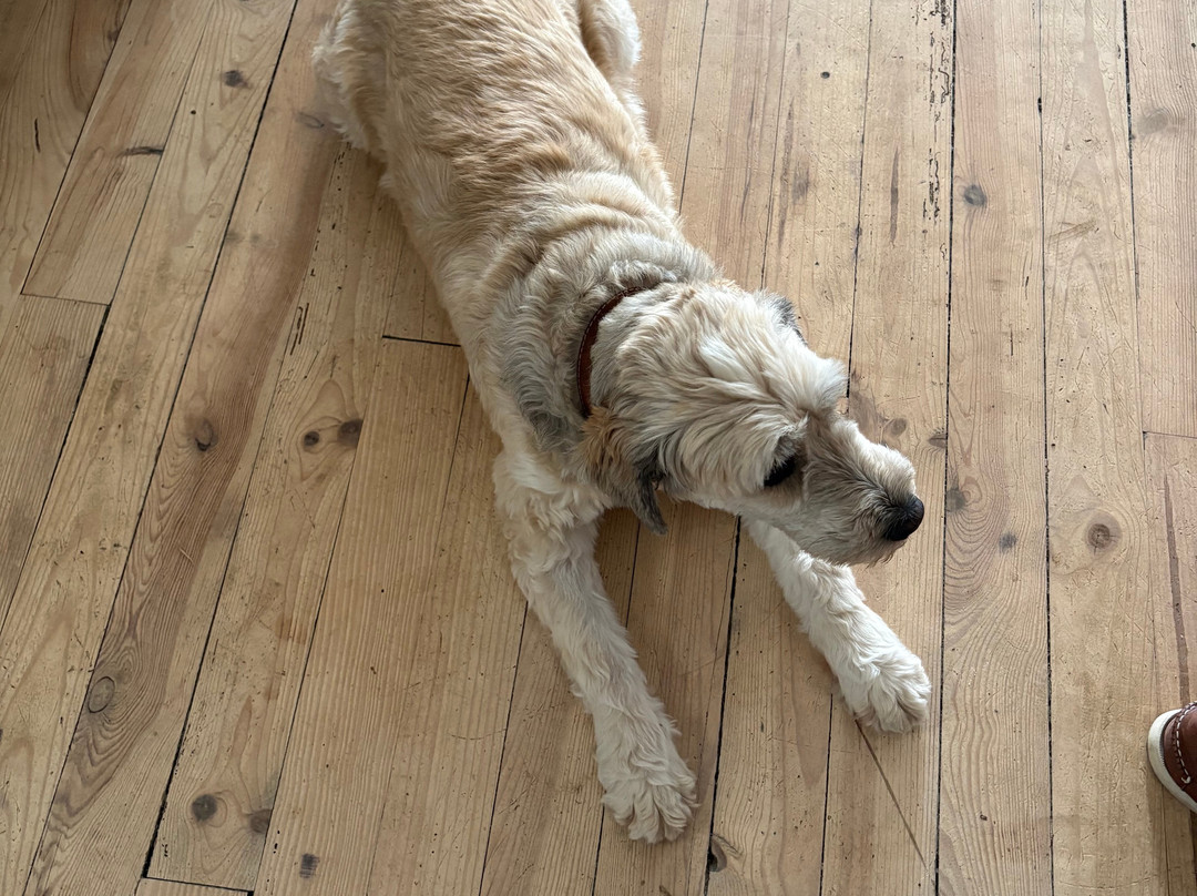 La Petite Auberge De Carennac主图