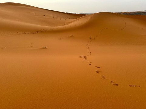 Seekers Travel Morocco-瓦尔扎扎特必去景点