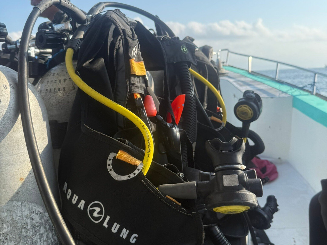 Tamarind Divers-蓝梦岛必去景点