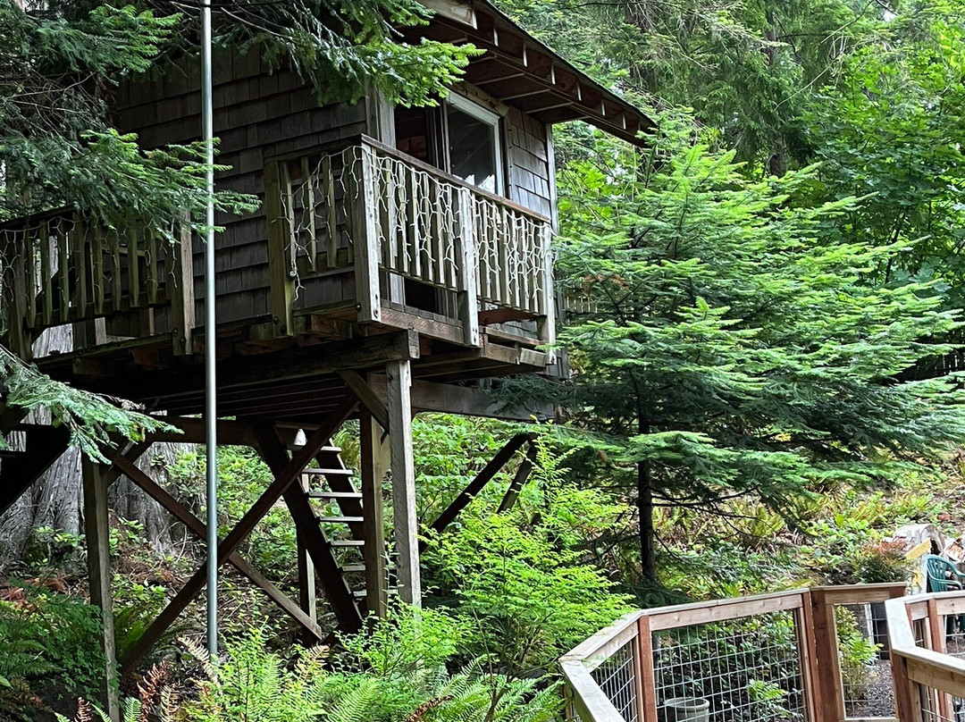 The Heron House主图