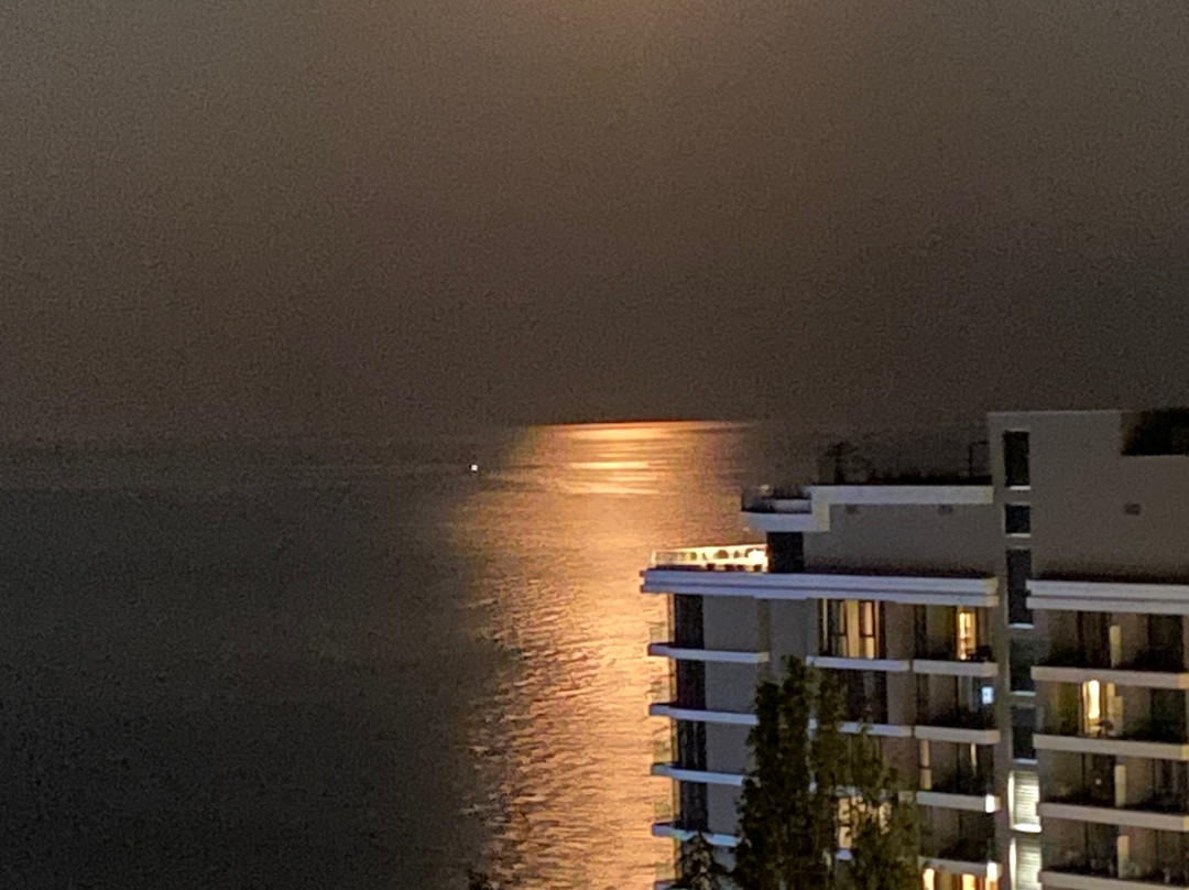 Berlin Green Park Hotel主图