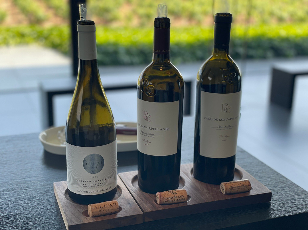 Pago de Los Capellanes-Pedrosa de Duero必去景点