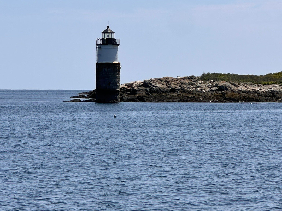 Cabbage Island-布斯贝港必去景点