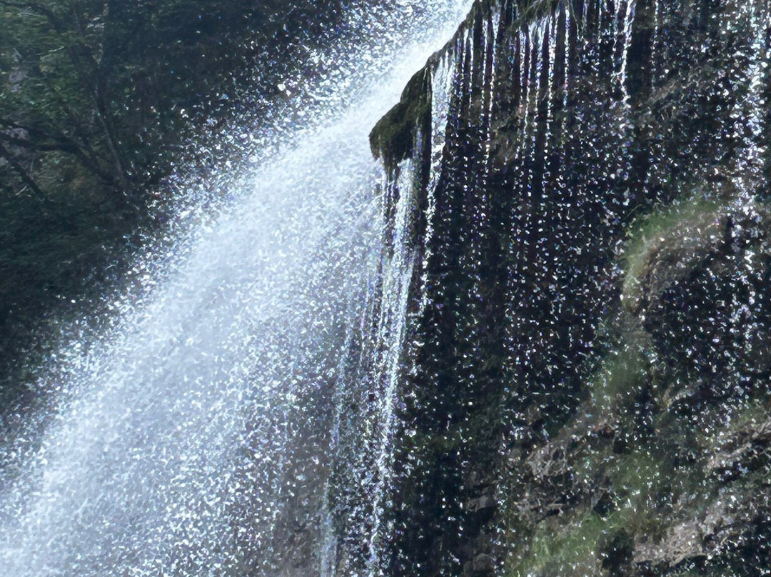 Site Naturel du Cirque de Saint-Même-Saint-Pierre-d'Entremont必去景点
