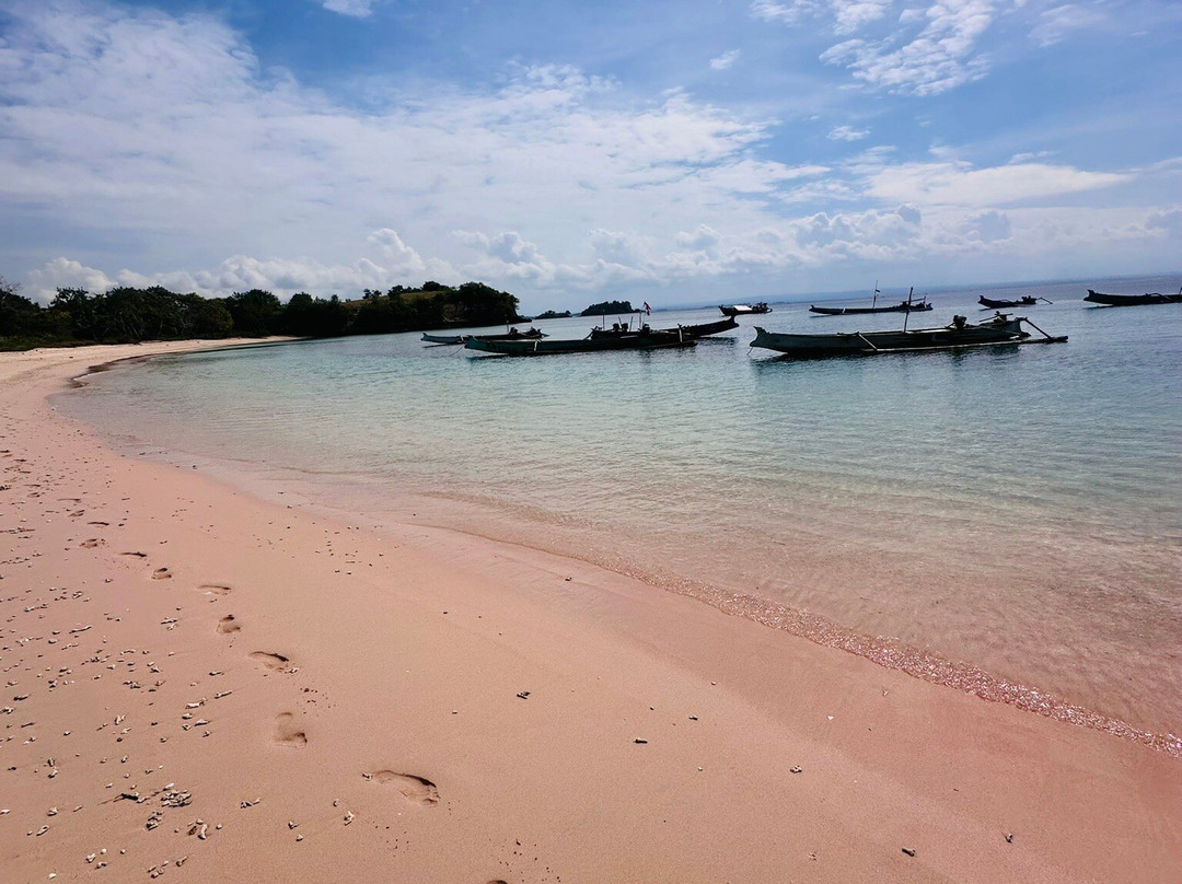 Pink Beach Lombok-罗威那海滩必去景点