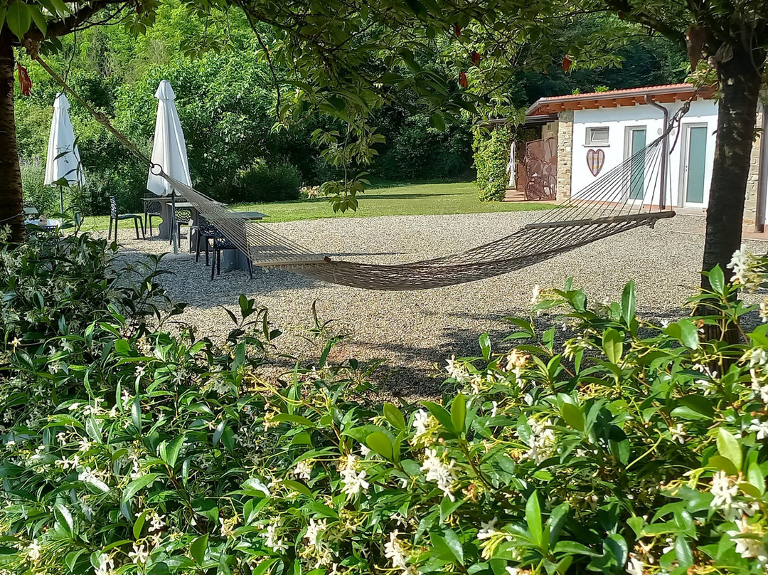 Il Sambuco Innamorato主图