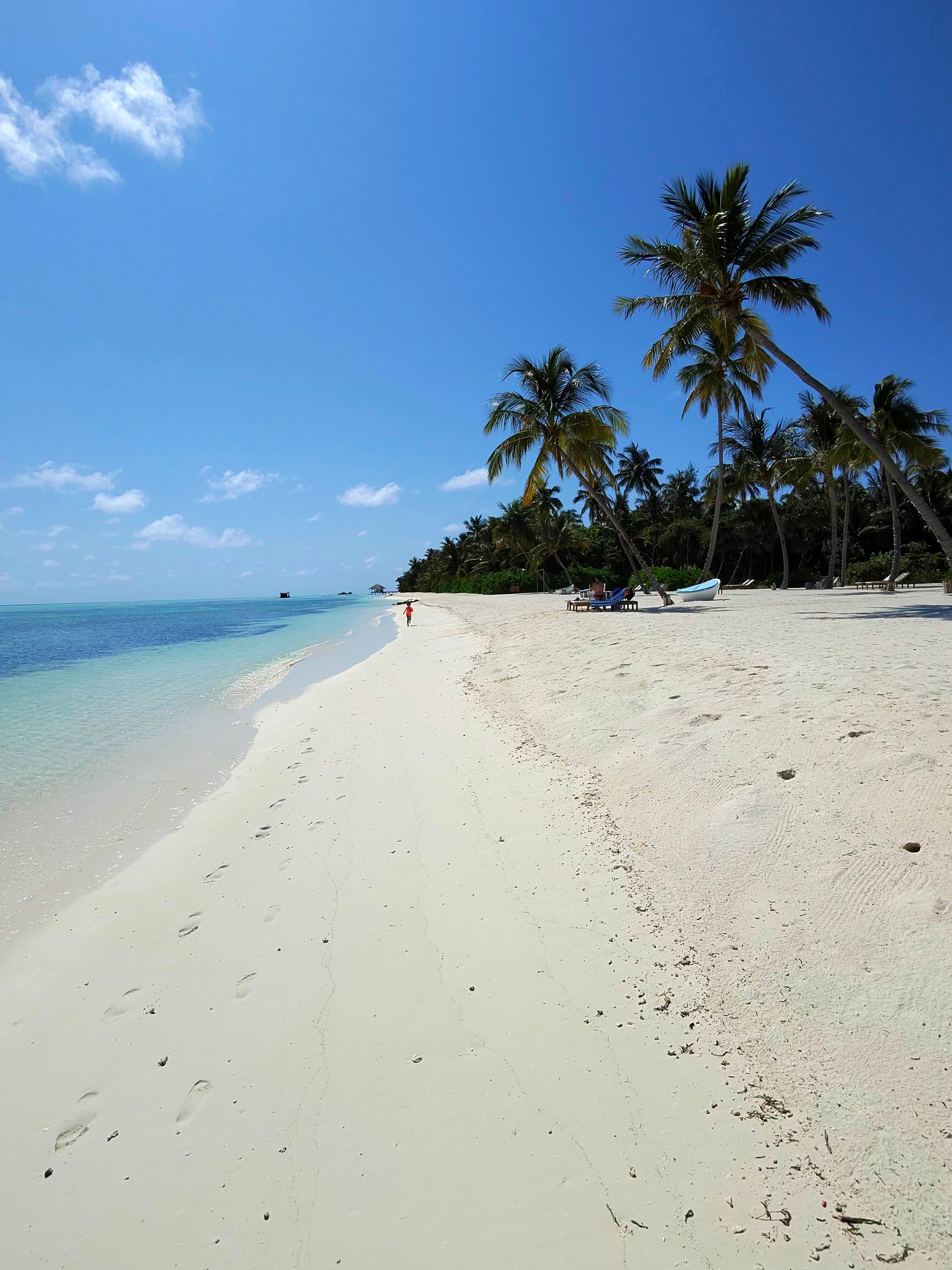 Pullman Maldives All-Inclusive Resort-泳池