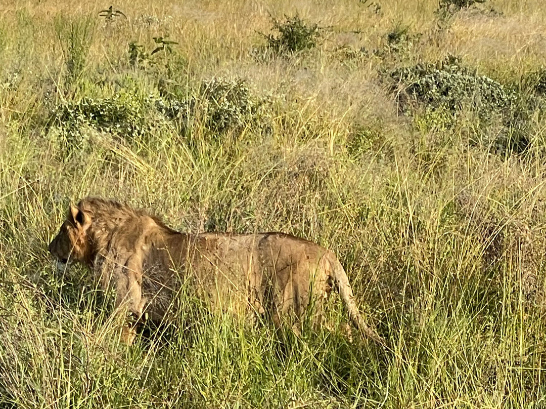 Pitia Africa Safaris-迪亚尼必去景点