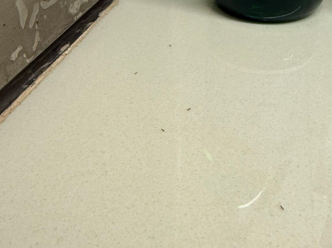 Cape Sienna  villa 6主图