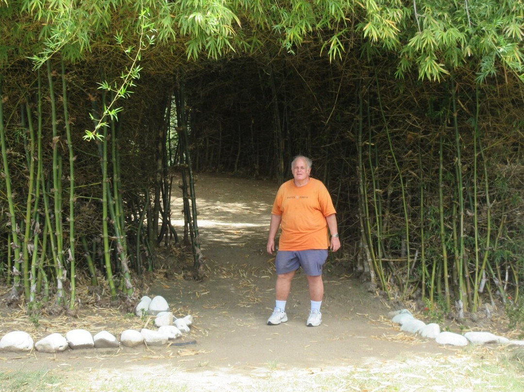 Dominica Botanic Gardens-罗索必去景点