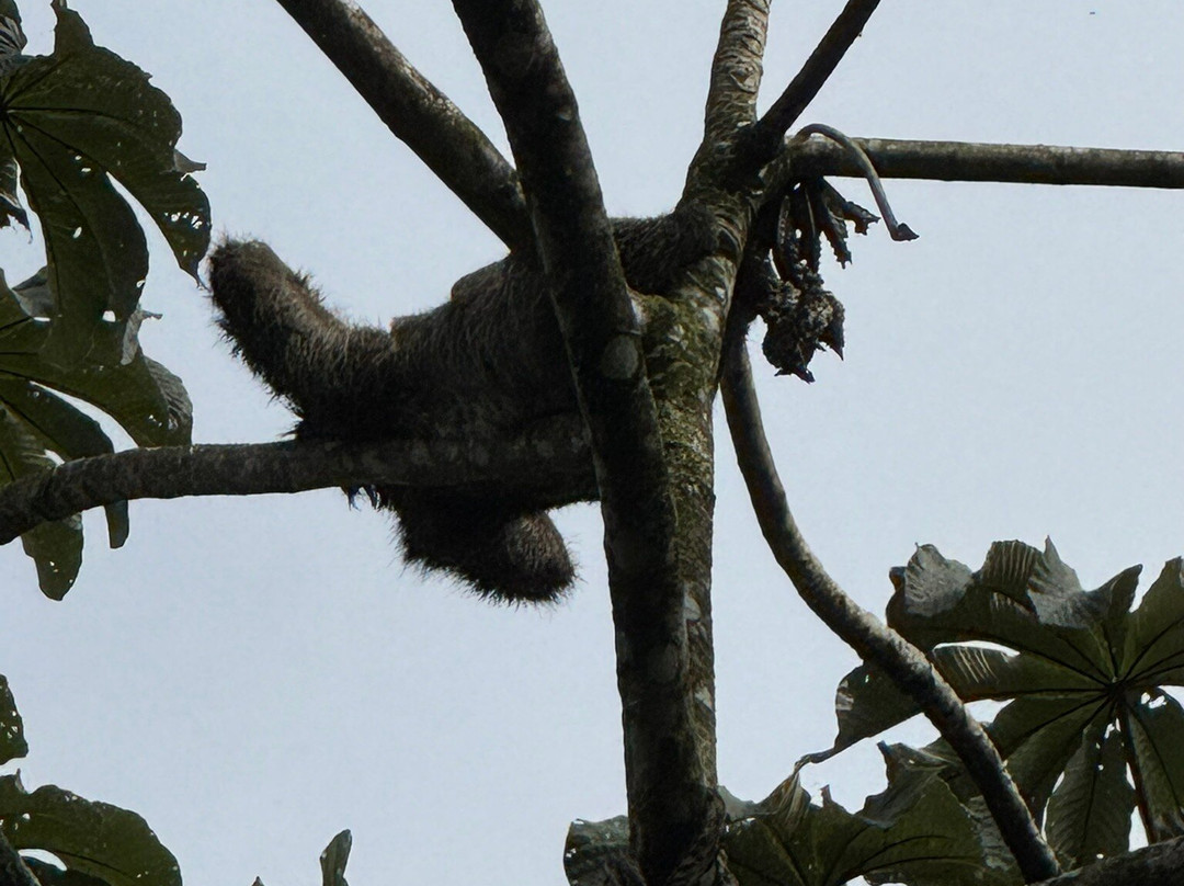 Super Quads-圣卡洛斯必去景点