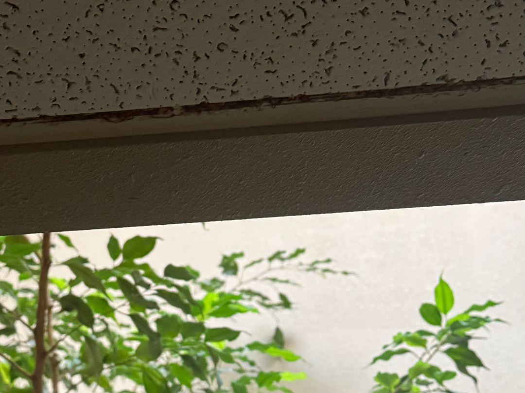 布拉多贝斯特韦斯特酒店主图