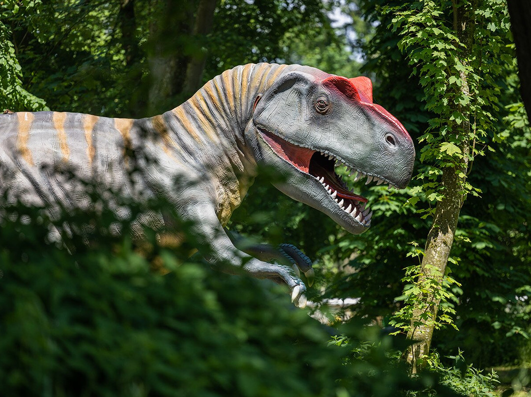 Dinoland-Kirchdorf am Inn必去景点