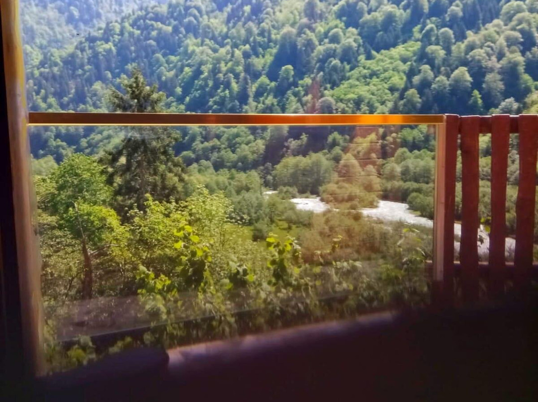 Ladin Dağ Evi Konaklama主图