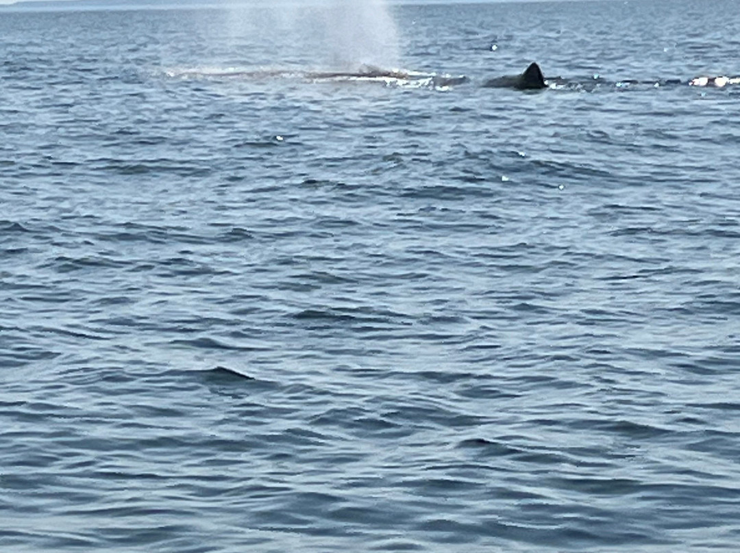 Trinity Eco-Tours and Lodge主图