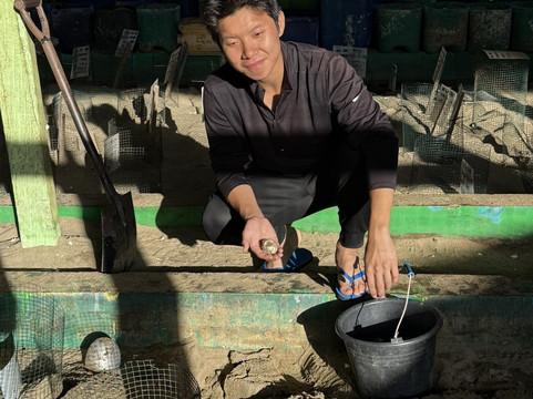 Pepe Java Tours-巴纽旺宣必去景点