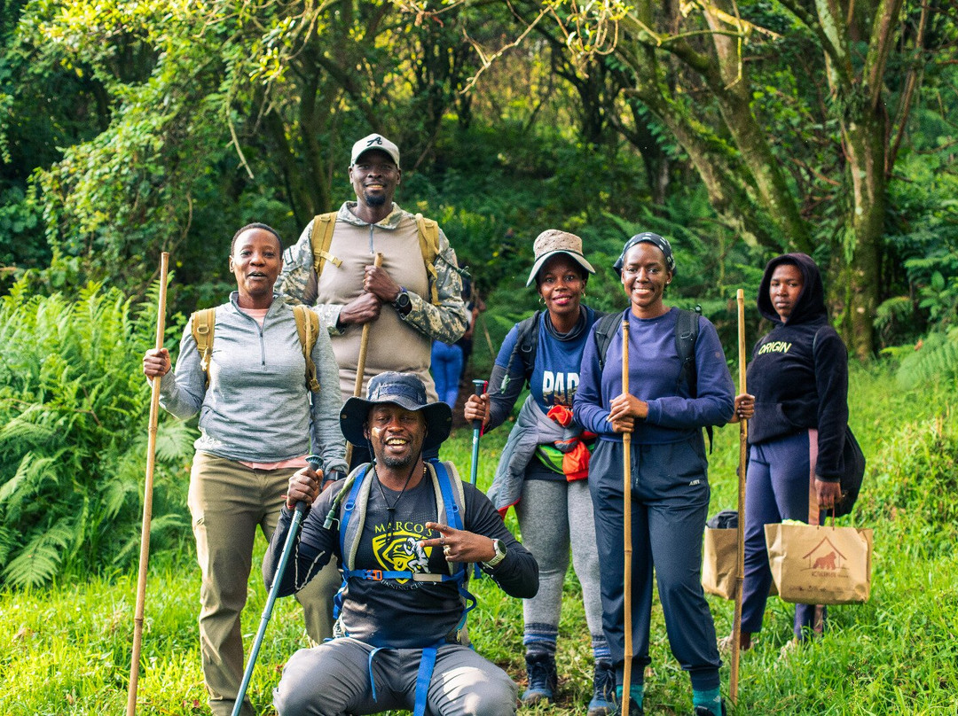 Summit Fever Expeditions