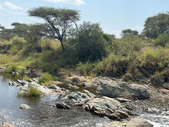 Global Experience-阿鲁沙必去景点