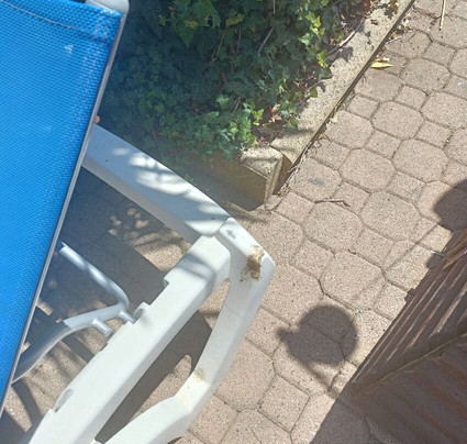 Aqualand Saint-Cyr-Sur-Mer-滨海圣西尔必去景点