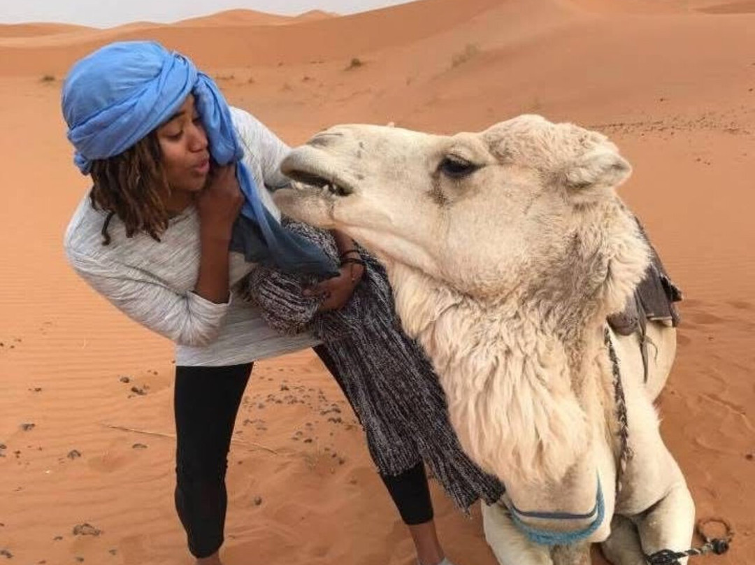 Dream Morocco Tours-非斯必去景点