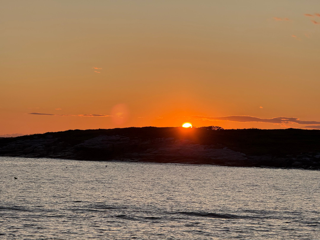 Cap'n Fish's Cruises-布斯贝港必去景点