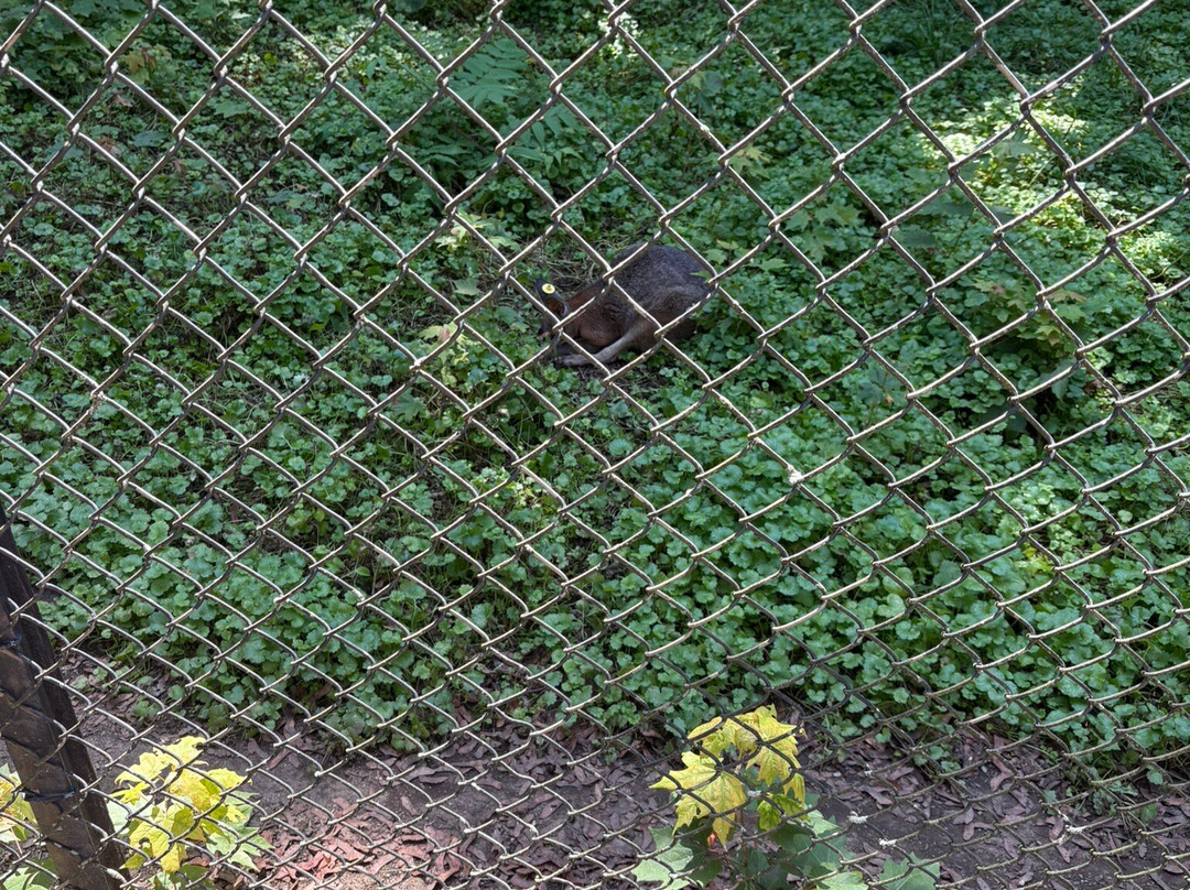 Lehigh Valley Zoo-Schnecksville必去景点