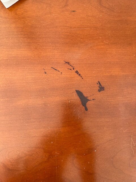 Oasis Praiamar主图