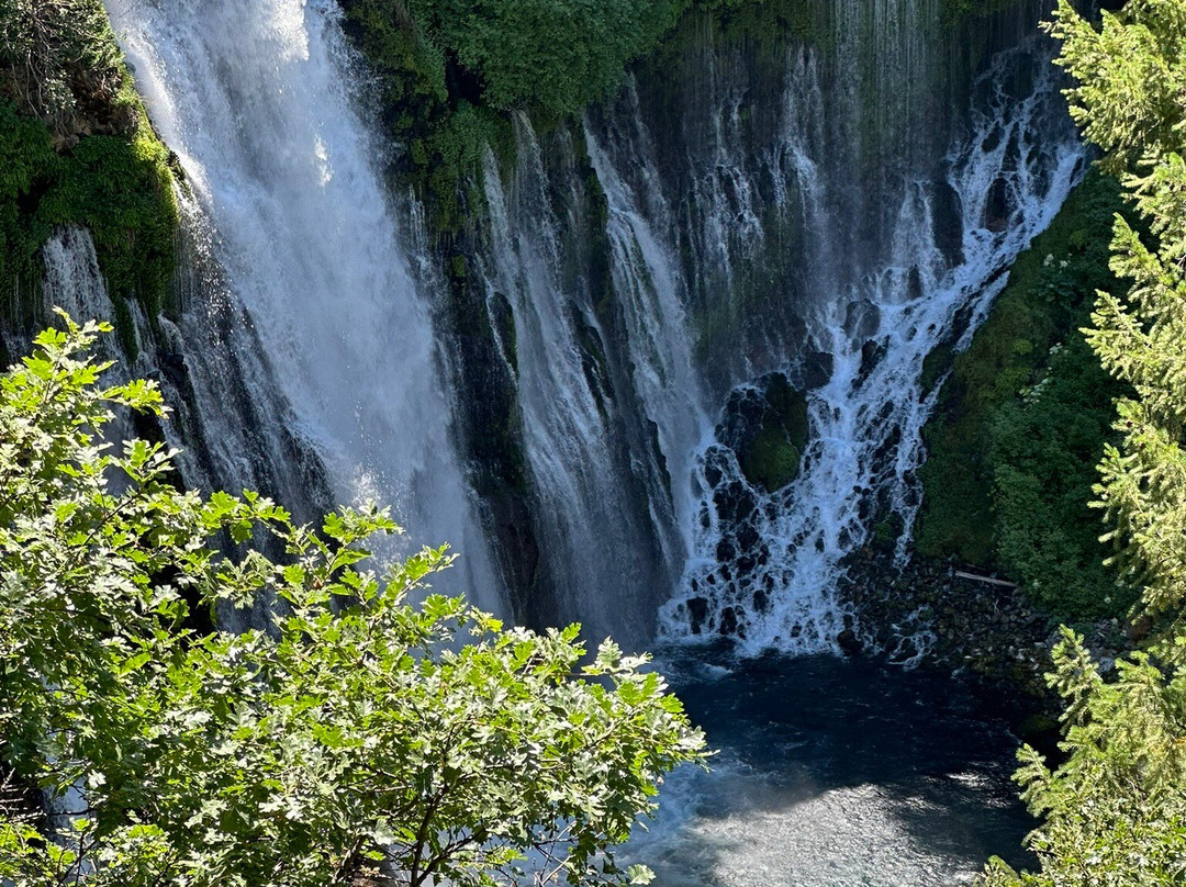 Shasta-Trinity National Forest-芒特沙斯塔必去景点