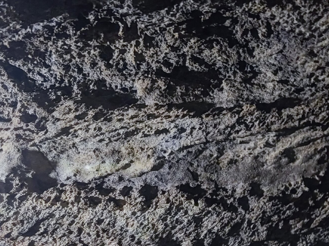 Túneles De Lava-阿约拉港必去景点