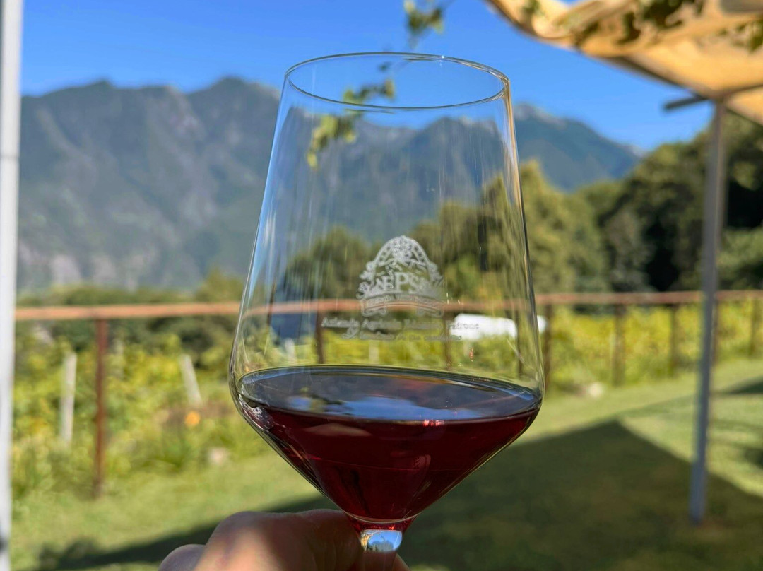 Azienda Vitivinicola Edoardo Patrone-多莫多索拉必去景点