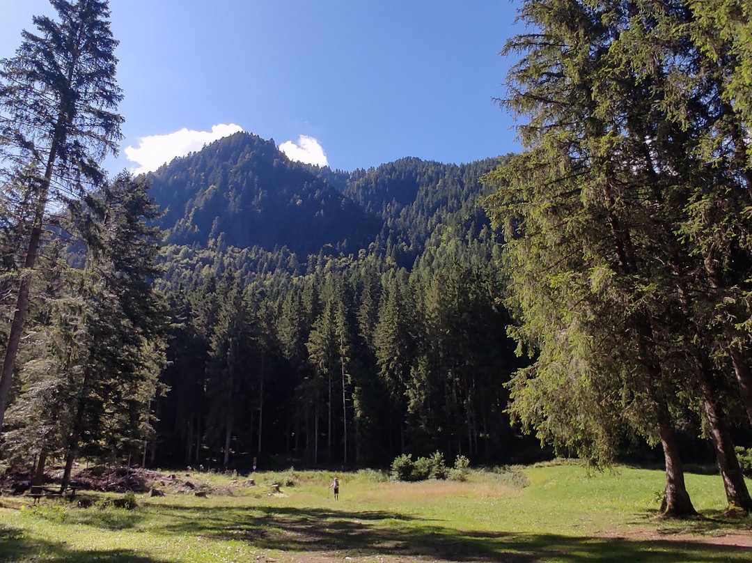 Albergo Edelweiss主图