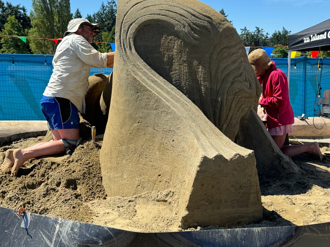 Parksville Community Park and Skate Park-帕克斯维尔必去景点