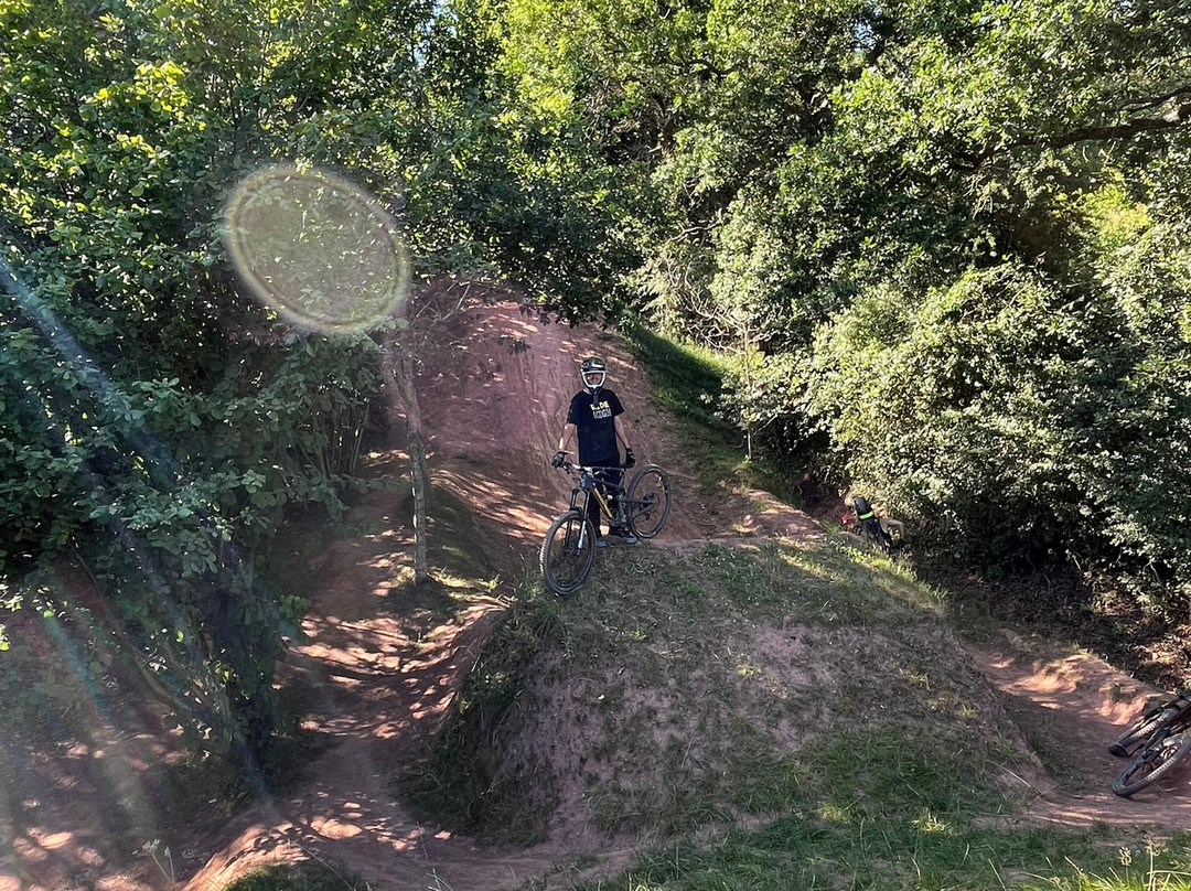 Dirt Farm-阿伯加文尼必去景点