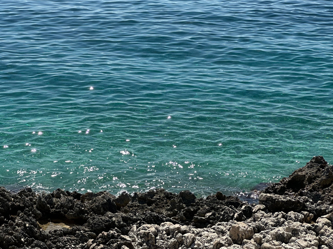 Dalmatia Sea Tours-斯普利特必去景点