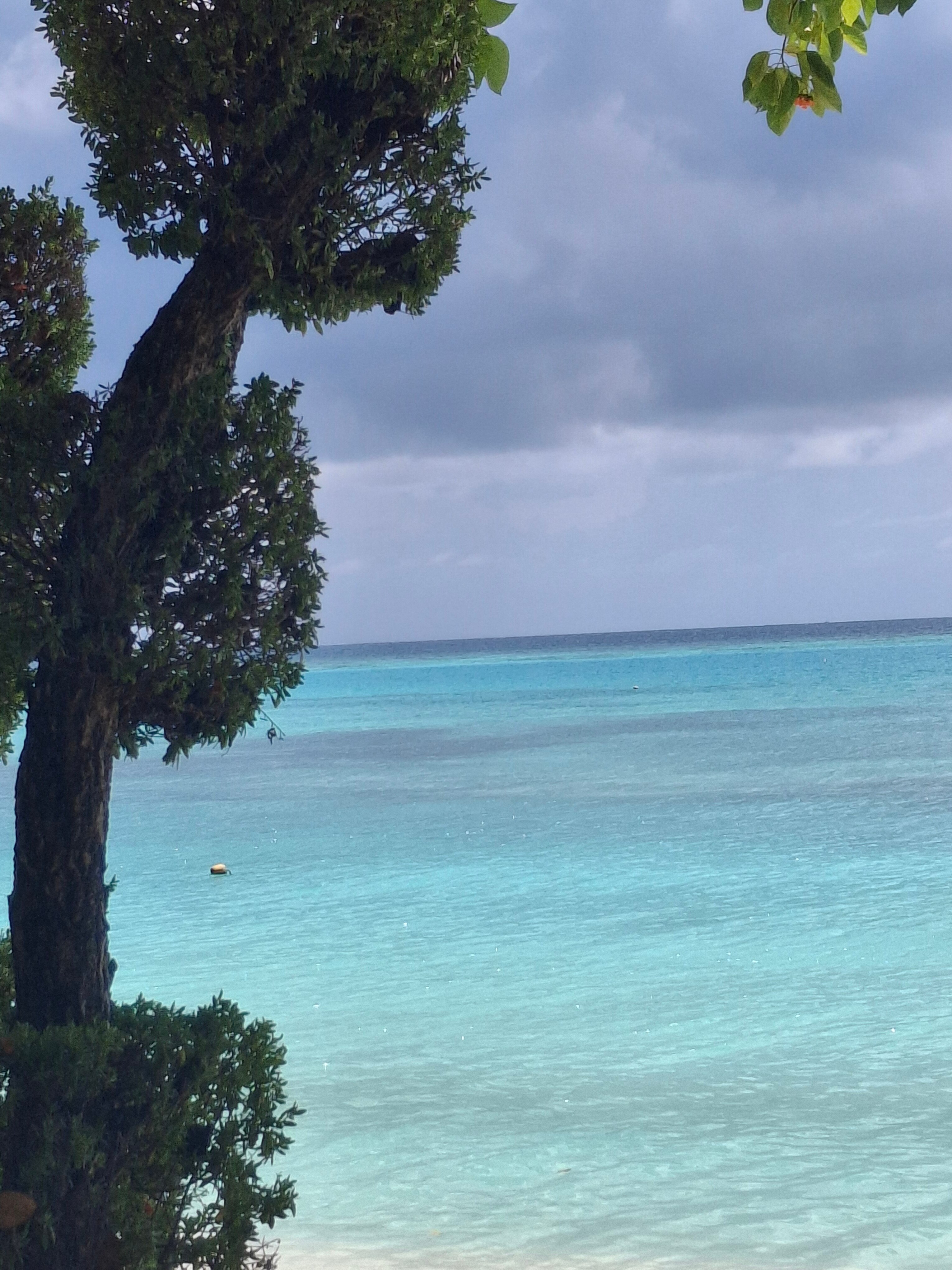 Cora Cora Maldives-浴室