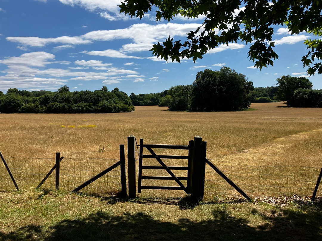Chawton House-Chawton必去景点