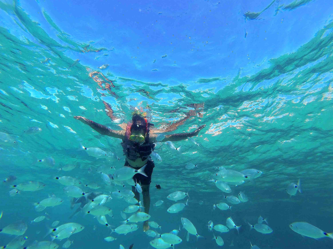 Arenal Diving-圣安东尼德波特曼尼必去景点